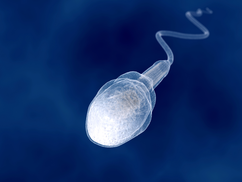 Донорство спермы: Мой опыт и плюсы, которые я обнаружил